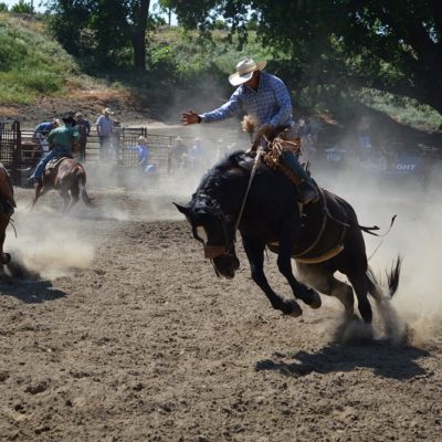 Rancho Mission Viejo Rodeo: An Annual Tradition